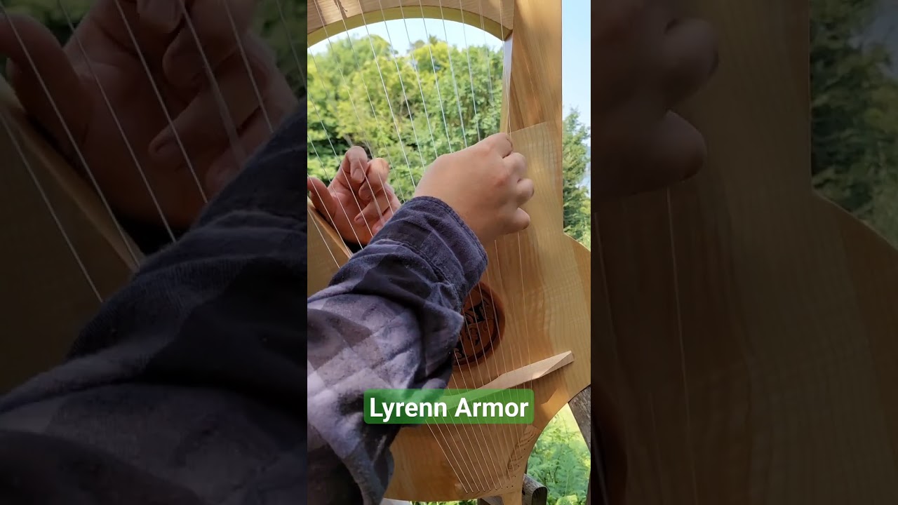 Lyrenn armor - Château de la Roche Jagu 
