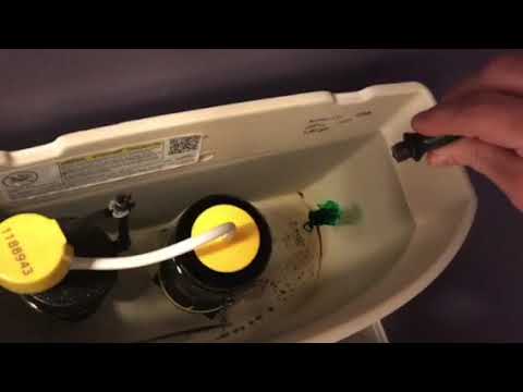 Video: Bagaimana Anda melakukan tes pewarna septik?
