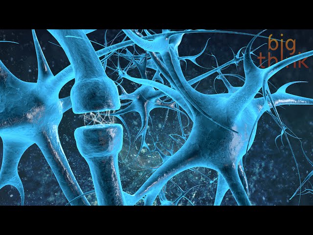 The Neurochemistry of Flow States, with Steven Kotler  | Big Think.