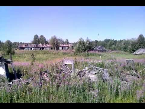 Нижняя омра республика коми фото и описание