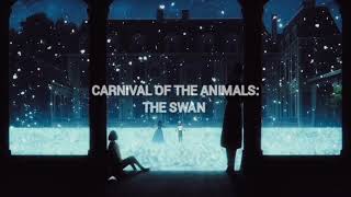 saint-saëns - carnival of the animals: the swan | 𝙨𝙡𝙤𝙬𝙚𝙙 + 𝙧𝙚𝙫𝙚𝙧𝙗