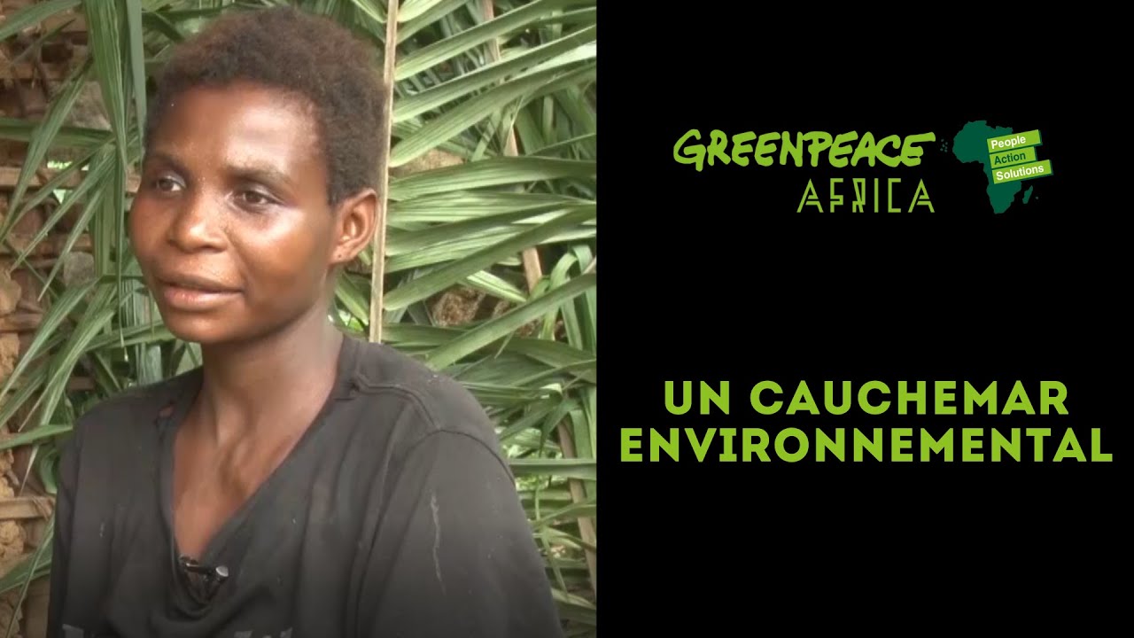 Camvert: un désastre environnemental. Bonjour la bombe climatique - YouTube