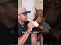 ドーベルマン3兄弟の性格の違い#犬