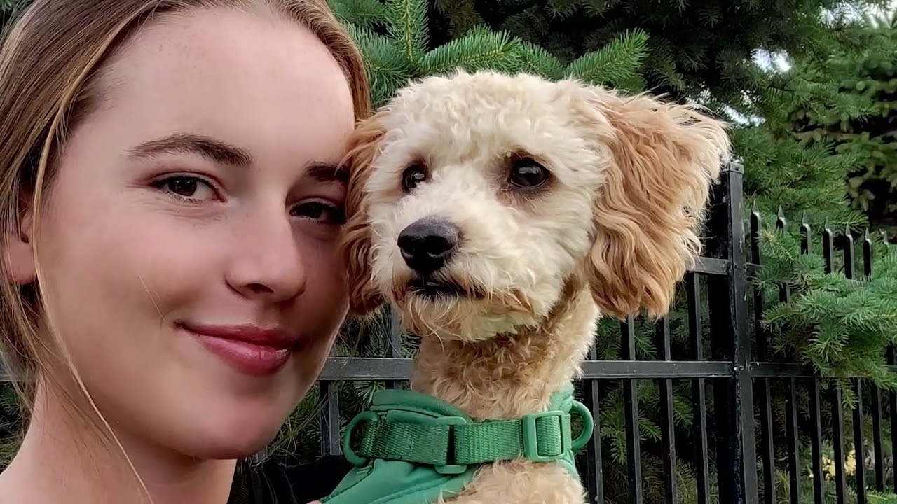 Dory (Poodle mix)- Off Leash k9 Training of Southern Utah