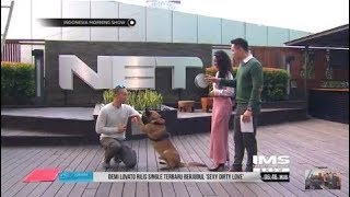 Meski Terlihat Garang, Anjing Belgian Malinois Bisa Dilatih Juga Lho!