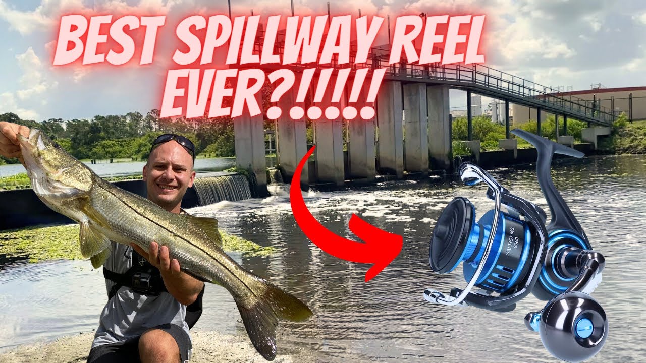 EPIC day SLAYING Spillway Snook  DAIWA SALTIST MQ-5000 Full Review.  AWESOME!!!! 