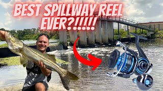 EPIC day SLAYING Spillway Snook | DAIWA SALTIST MQ-5000 Full Review. AWESOME!!!!