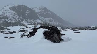 Fishing day trip to Tasikallak by Northern Light (Felix St-Aubin) 14,082 views 1 month ago 58 minutes