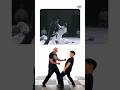 How Legit is Ip Man’s Chain Punch Finisher? #shorts