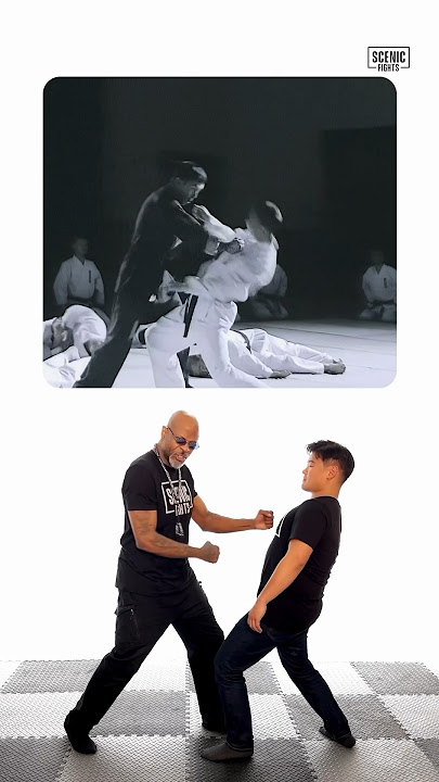 How Legit is Ip Man’s Chain Punch Finisher? #shorts