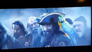 Talking perroquet, funny GEICO commercial.