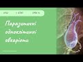 Паразитичні одноклітинні організми