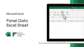 Creating an Excel Sheet for Panel Data Analysis
