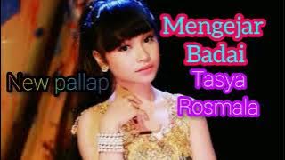 mengejar badai//Tasya rosmala//new pallapa//mp3