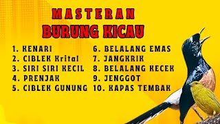 184 🔴 LIVE MURAI BATU MASTERAN MATERAN 10 CHIPPING BURUNG KECIL DAN GACOR KASAR || JUARA AJAIB