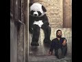 panda- Amr Hassan-