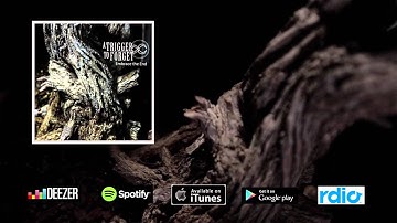 A Trigger to Forget - Embrace The End
