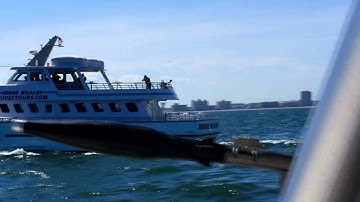 Trident Group Training