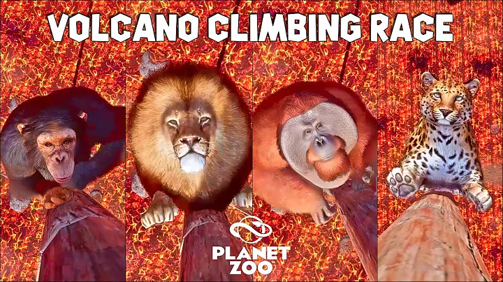 Video 5855291: leopard, asian golden cat, lion