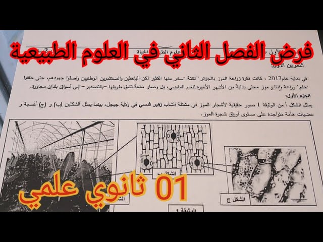 فرض الفصل الثاني في العلوم الطبيعية السنة الأولى ثانوي علمي