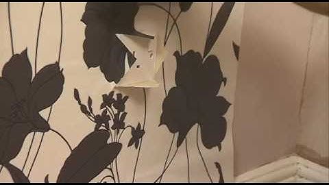 How to: apply wallpaper around switches and sockets