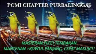 MASTERAN PLECI NEMBAK MANTENAN  KOWUL PANJANG TANPA JEDA, DIJAMIN JUARA FULL