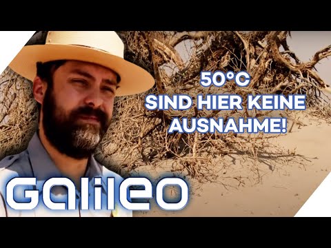 Video: Die seltsamsten Orte in Kalifornien