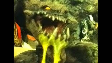 my big spawn collection 2: