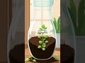 DIY Hanging Planters from Plastic Bottles