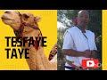 Tesfaye Taye Hobe ሆቤ New Ethiopian Music 2022 Offlcial Video Tesfaye Taye Hobe ሆቤ New Ethiopian Music 2022 Offlcial Video