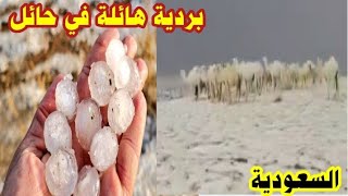 Download Lagu أمطار غزيرة وبردية حولت الارض للون الابيض في حائل MP3