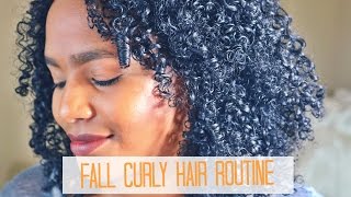 Perfect Fall Wash N Go Routine | Natural Hair