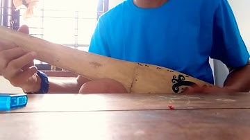 Kacapi anak snar tiga