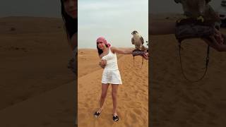 Watch Dubai desert safari amazing videos and subscribe my channel #youtubeshorts #shorts #enjoy