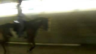 Colleen & Justin Trot 2