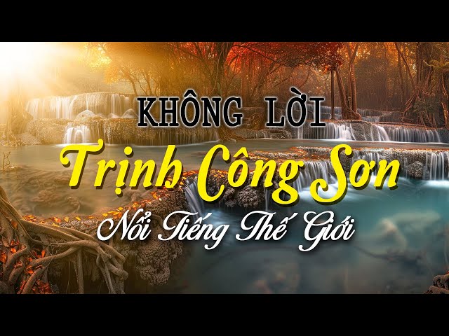 Nhạc Không Lời Trịnh Công Sơn Nổi Tiếng Thế Giới, Hòa Tấu Guitar Những Bài Hát Của Các Ns Tài Hoa class=