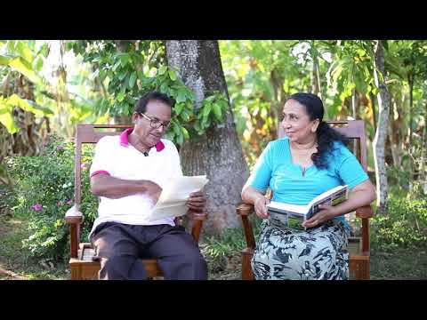 Sadhani & Pramoj Pre-wedding Video