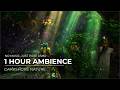 World of Warcraft ASMR | Darkshore Nature Ambience (4K, No Music) | 1 Hour for Sleep &amp; Study
