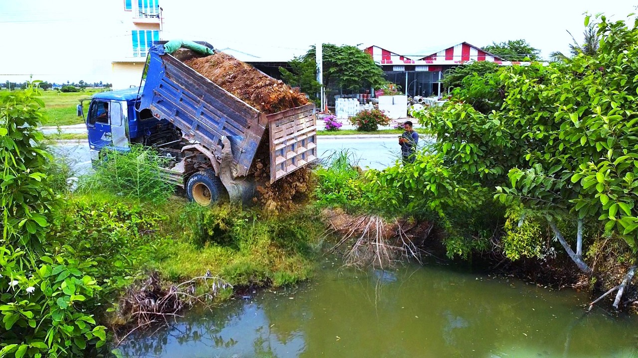 First Start Amazing PROJECT!! Filling Delete Deep Land & Clearing Tree Use Strong Dozer & 5Ton Truck