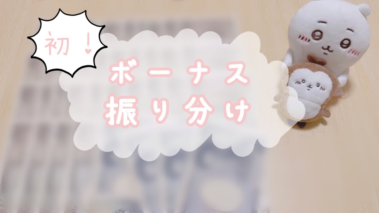 【社会人1年目】ボーナス振り分け!/新卒/給料日ルーティン YouTube 【社会人1年目】ボーナス振り分け!/新卒/給料日ルーティン YouTube