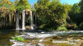 Güldaniyem - Telli Sazlar Üçlüsü Resimi