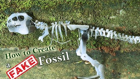 HOW TO MAKE A DINO FOSSIL | MAKING A DINOSAUR FOSSIL | TIMELAPSE VIDEO | DIY DINOSAUR FOSSIL