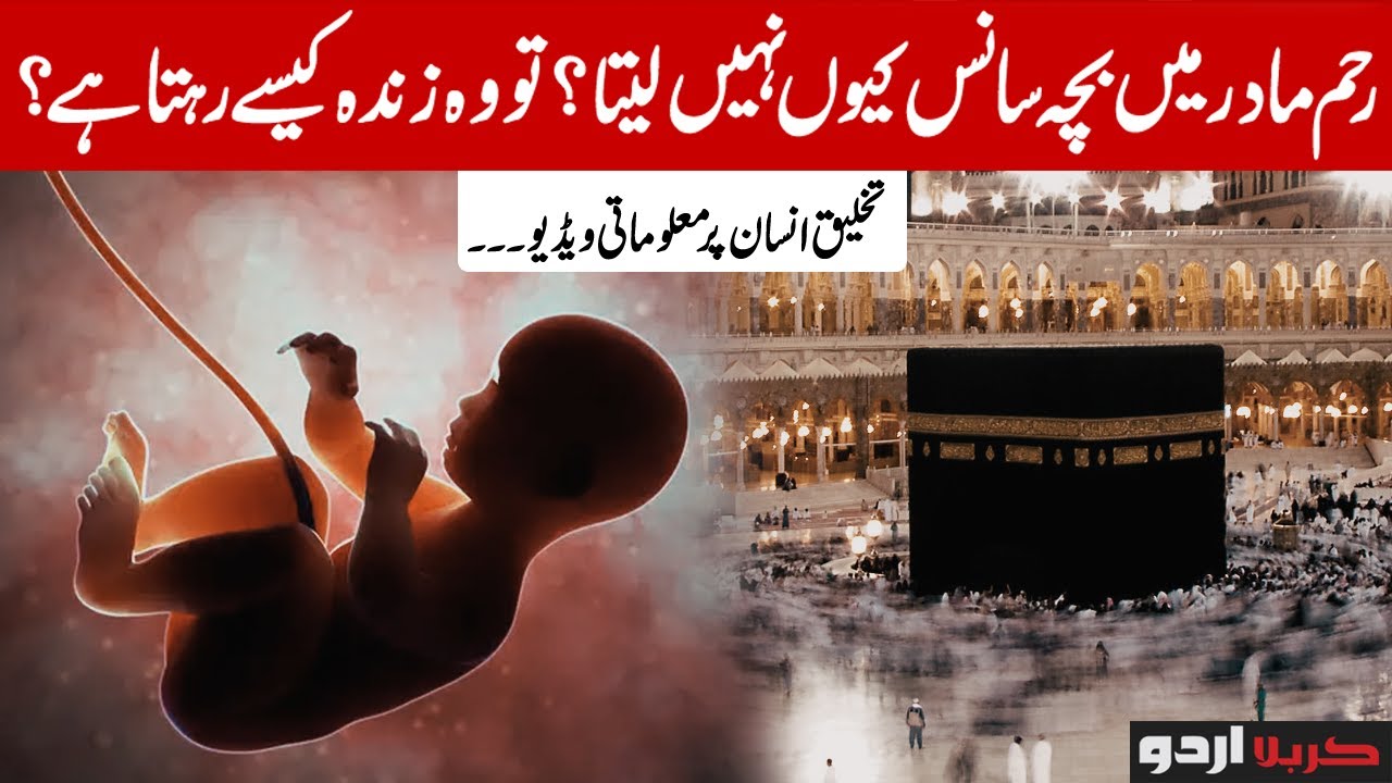 HUMAN BIRTH ISLAM QURAN Dr Kalbe Sadiq Lecture YouTube