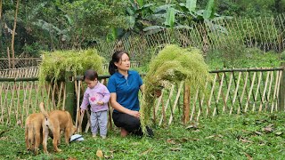 Harvesting & Preserve Seeds - Build Bamboo Fence, Daily life - Lý Phúc An