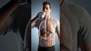 The Truth About Zero Sugar Drinks | 3D Anatomy Short #healthshorts #asmr #dietsoda