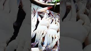 කකුඵ මාලු -- Crab Curry.. cooking food villagefishcurry crab  srilankanfood srilankanstyle