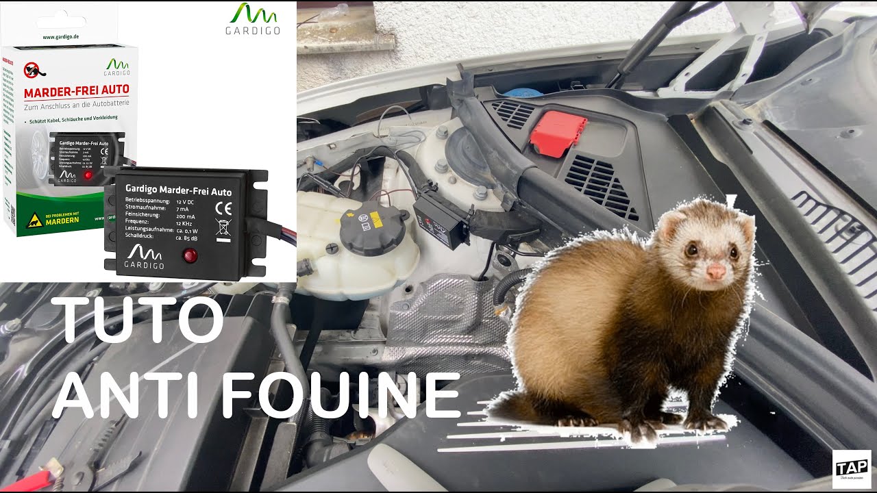 Comment installer un anti-fouine/Martre soi-même - YouTube