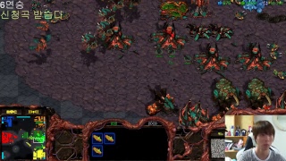 큐라TV 스타 빨무 팀플 남캠 방송 빠른무한 starcraft remaster