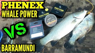 Uji Coba Senar Pancing Bagus Berkualitas || Phenex Whale Power