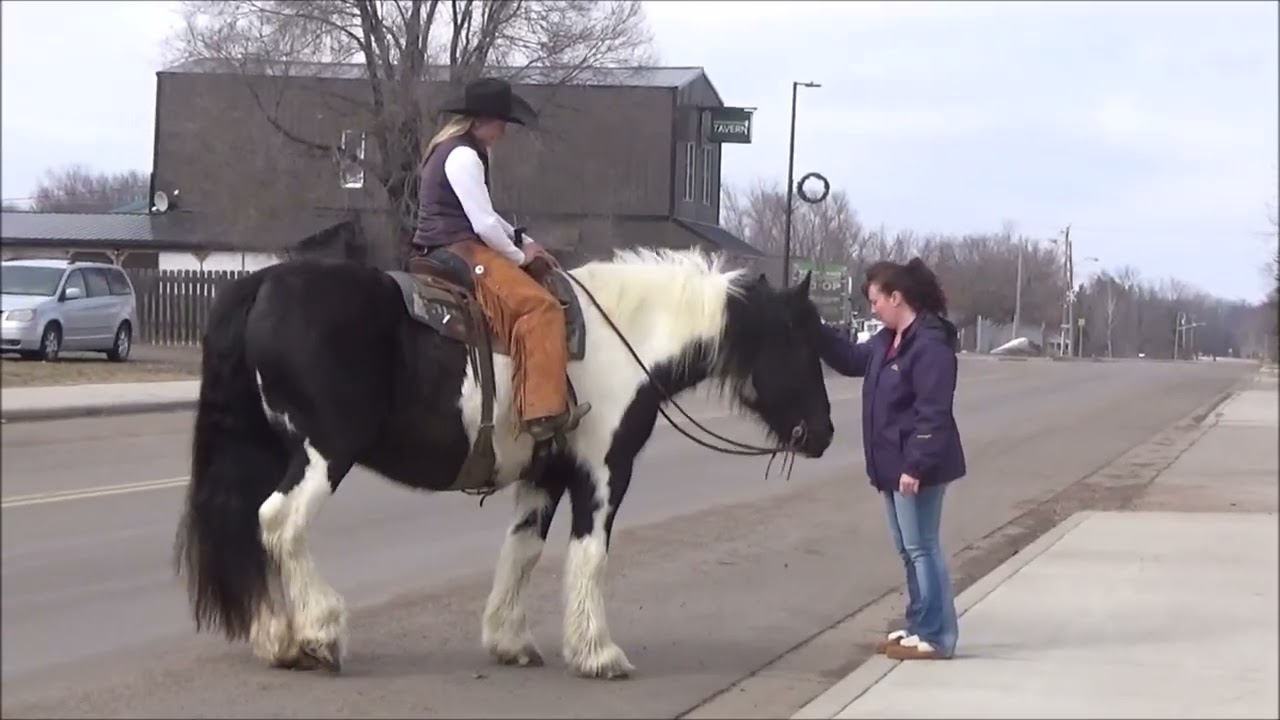 Titan BLS March Sale  TURN YOUR VOUME UP!!!!!!!!